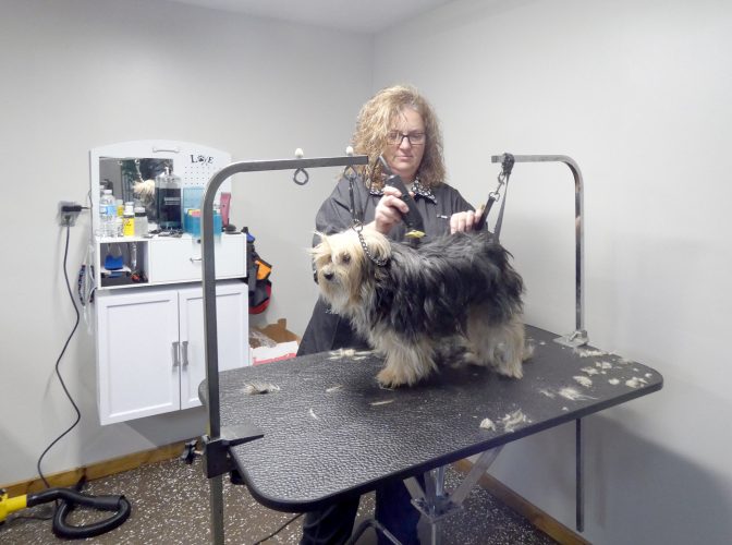 Soggy Doggy opens in Wellsville